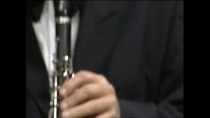 Miki Gajic- Bogatstvo moje