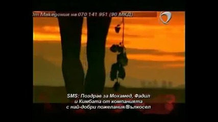Константин-черна роза