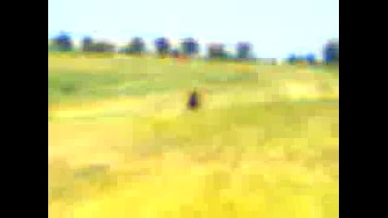 Видео0036 