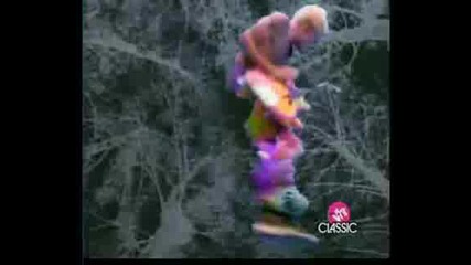 Red Hot Chili Peppers - Higher Ground (2nafish)