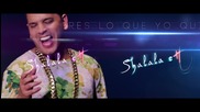 Tito El Bambino - Shalala ( Official Video)