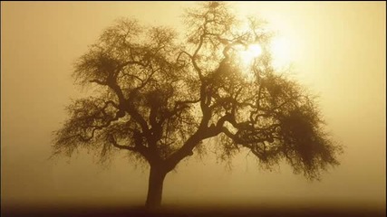 Ego Progressus - Bloody Sun (original Mix)