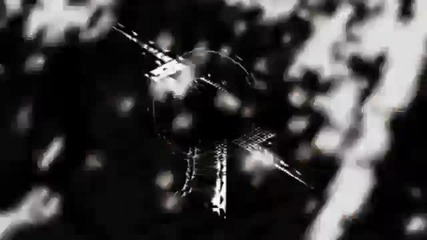 Cm Punk 2011 Theme Song