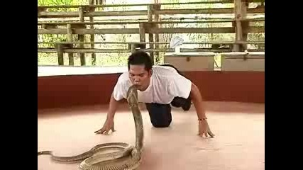 приятел със змии
