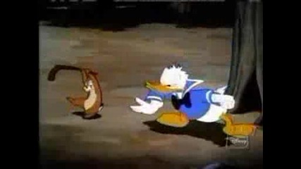 Donald Duck - Winter Storage