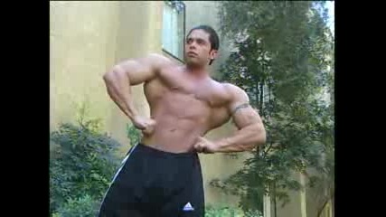 Bodybuilding muscle