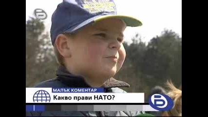 Малък Коментар - Какво Прави Нато?