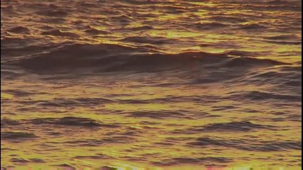 Noveller - Ends