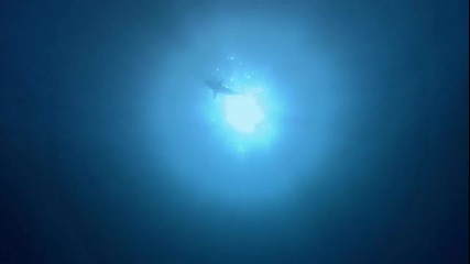 Релакс и Природа - част 3