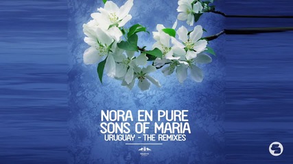 Nora En Pure & Sons Of Maria - Uruguay (passenger 10 Remix)