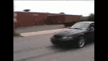 Snake Bite 