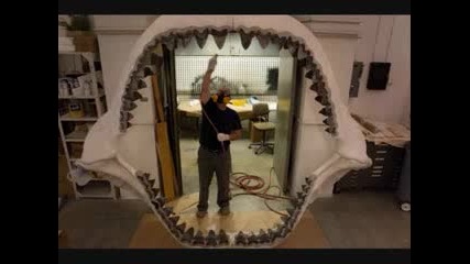 Най - голямата акула - Megalodon
