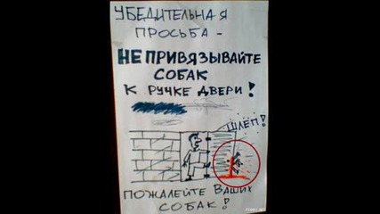 Това може да се види само в България - 100% Cмях