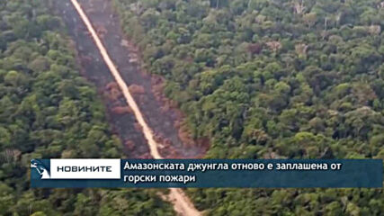 Амазонската джунгла отново е заплашена от горски пожари