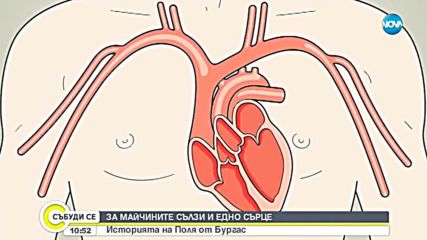 МАЙЧИНИ СЪЛЗИ: Какво се случва когато сърцето излезе от ритъм?