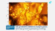 Публикуваха невиждани кадри на Слънцето с най-детайлните изображения досега
