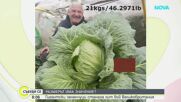 Британци отглеждат гигантски зеленчуци и чупят световни рекорди