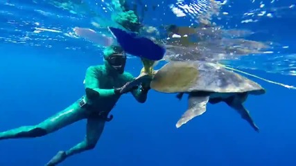 Водолаз спасява морска остенурка