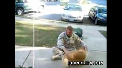 Dog Loses It When Soldier Returns 