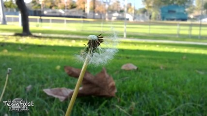 Galaxy Nexus -1080p Video Quality Test