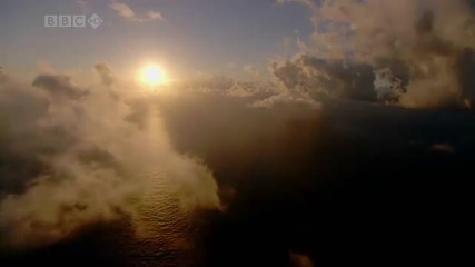 Ocean 