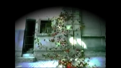 Tarkan - Isim Olmaz