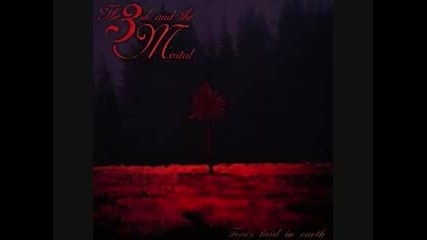 the 3rd and the Mortal- Shaman