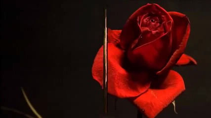 Tango - Ole Guapa - Alfred Hause