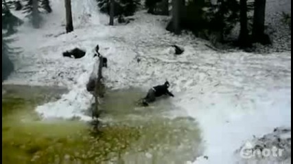 цопна в ледената вода