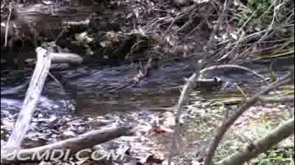 Mountain Stream - Natural Relaxation 