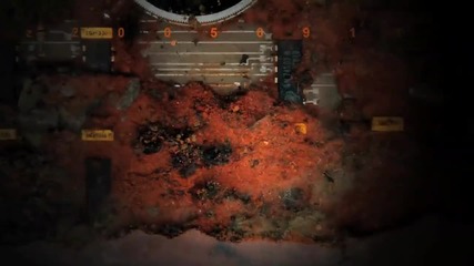 Ants in my scanner a five years time - lapse! 