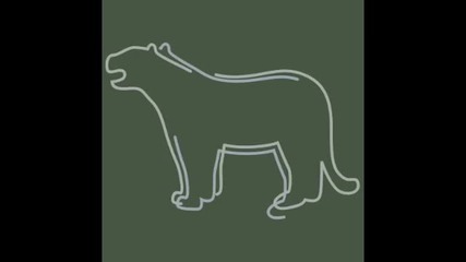 Shanghai Restoration Project - Deux Tigres