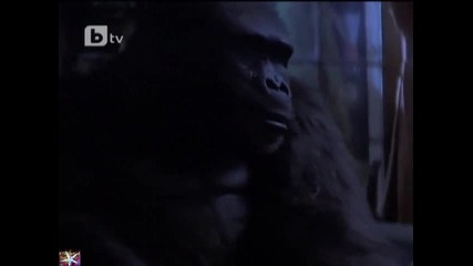 Бъди - 05, приключенска комедия, драма, b T V, 03 март 2011