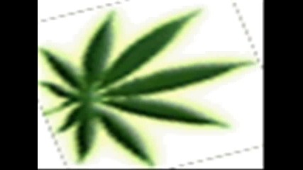 King Size - Puf paf