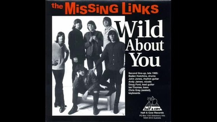 The Missing Links - They Say You Lie
