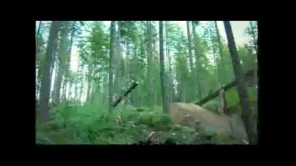 Incredible Mountain Bike Trail on Msn Video 