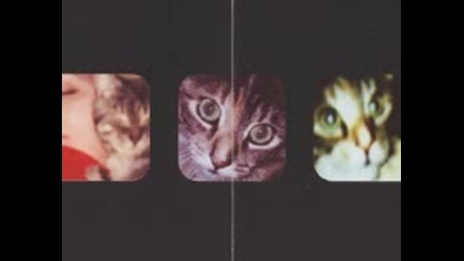 Venetian Snares - Lioness 