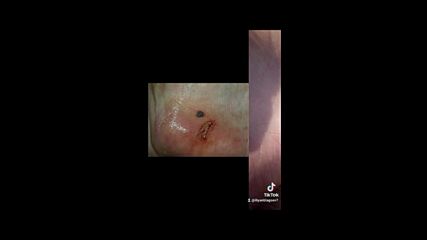 Аска Арган олио & Салвия / Цбд / Анасон олио