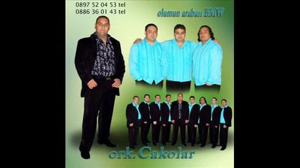 ork cakolar 2010