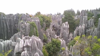 Каменната гора в Китай 