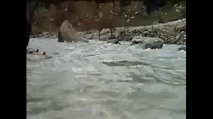 Браво, смелчага! 
