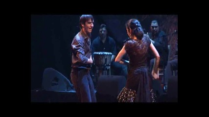 Cuadro Flamenco - Amsterdam 2008
