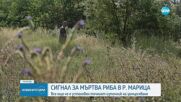 Новините на NOVA (30.06.2025 - следобедна емисия)