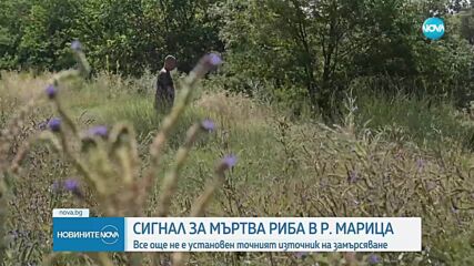 Новините на NOVA (30.06.2025 - следобедна емисия)