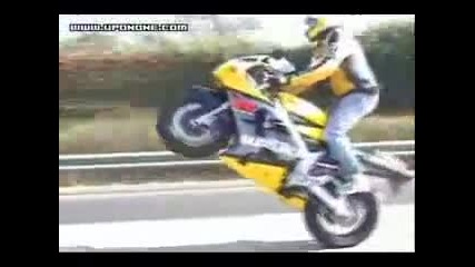 Moto Stunts
