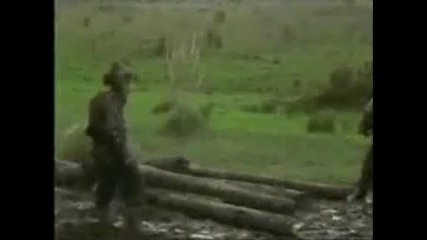 100 Funny Falls 