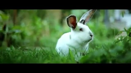 Чукито - Boreau - Прайм Се На Лоши