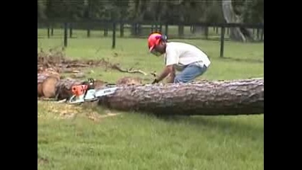 Stihl Ms660 Stihl Sawing Pine