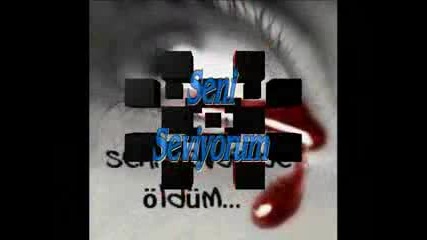 seni seviyorum.flv