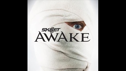 Skillet - It's Not Me It's You